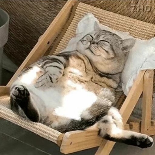 sshnuke史努克亲王